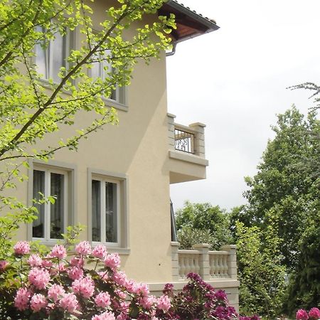 Ferienwohnung Dennstedt Wilkau-Hasslau Exterior photo